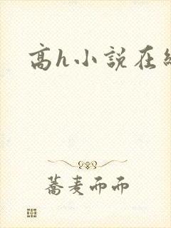 高h小说在线看