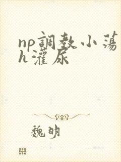 np调教小荡货h灌尿