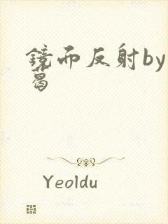 镜面反射by九葛