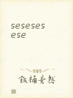 sesesesese封面