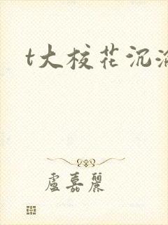 t大校花沉沦封面