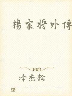 杨家将外传封面