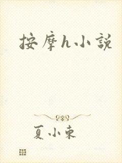 按摩h小说封面