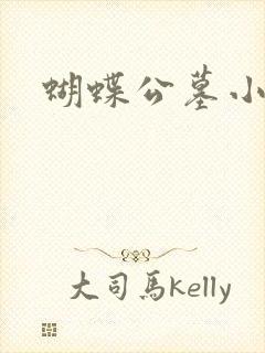 蝴蝶公墓小说