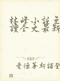 林峰小说免费阅读全文最新章节封面