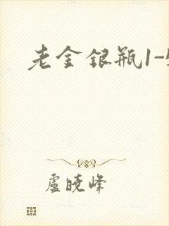老金银瓶1-5