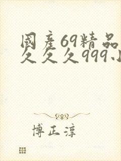 国产69精品久久久久999小说封面