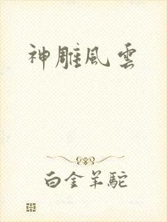 神雕风云封面