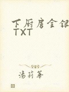 下厨房金银花露 TXT封面