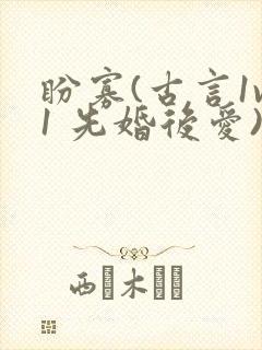 盼寡(古言1v1 先婚后爱)