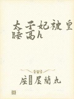 太子妃被皇上强睡高h