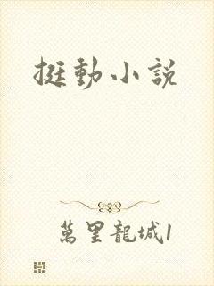 挺动小说