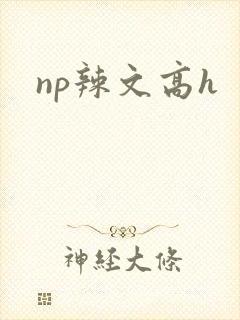 np辣文高h