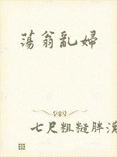 荡翁乱妇