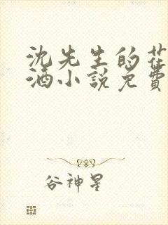 沈先生的花式调酒小说免费阅读