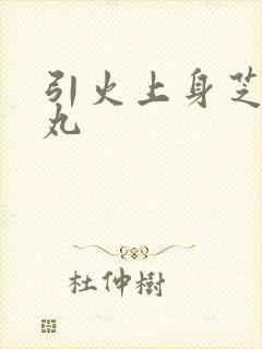 引火上身芝麻糖丸