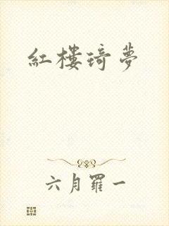 红楼琦梦
