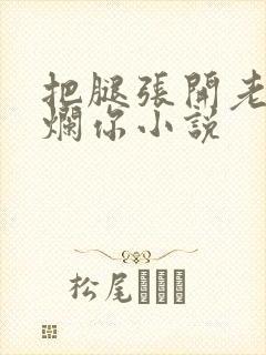 把腿张开老子臊烂你小说