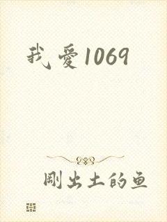 我爱1069封面