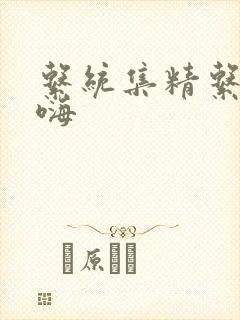 系统集精系统高嗨