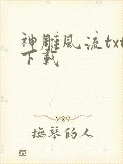 神雕风流txt下载