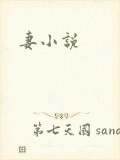 妻小说