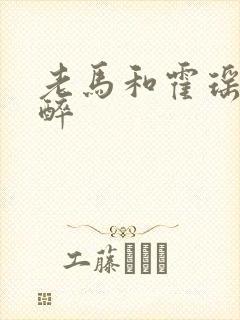 老马和霍瑶瑶喝醉封面