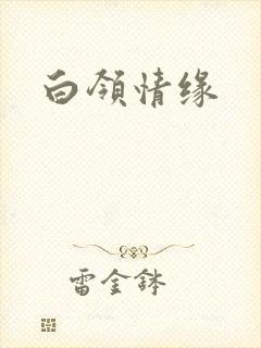 白领情缘