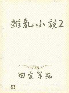 杂乱小说2
