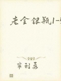 老金银瓶1-5封面