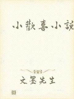 小欢喜小说