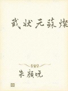 武状元苏灿