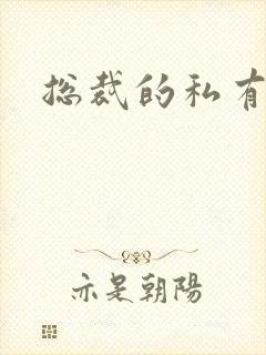 总裁的私有宝贝封面