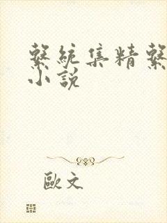 系统集精系统 小说