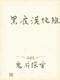 黑夜汉化组