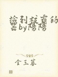 捡到校霸的遥控器by阳阳封面