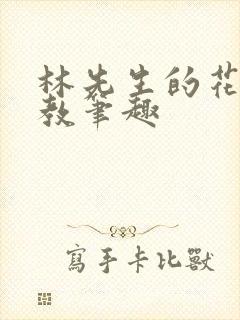 林先生的花式管教笔趣