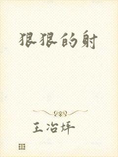 狠狠的射