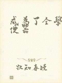成为了全学校坐便器