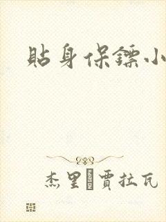 贴身保镖小说