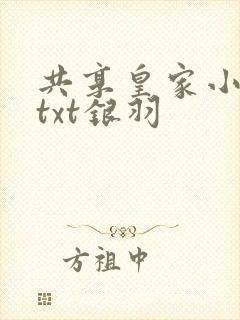 共享皇家小公主txt银羽