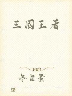 三国王者