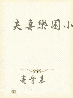 夫妻乐园小说