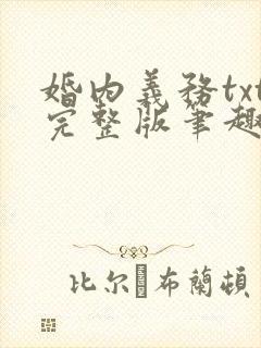 婚内义务txt完整版笔趣阁封面