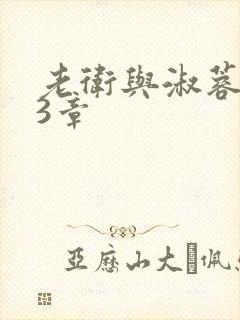 老卫与淑蓉第13章