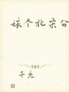 嫁个北宋公务员