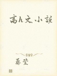 高h文小说