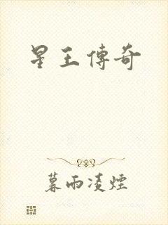 星王传奇