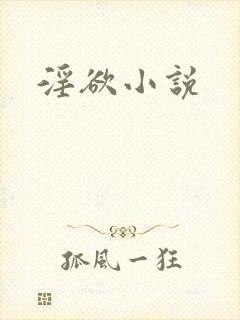 淫欲小说封面