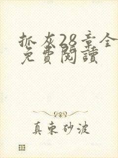 抓灰28章全部免费阅读